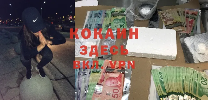 как найти закладки  мориарти наркотические препараты  Cocaine Боливия  Покров 